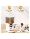 Alimentador Automático Pet Wi-Fi