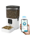 Alimentador Automático Pet Wi-Fi