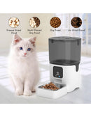 Alimentador Automático Pet Wi-Fi