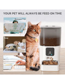 Alimentador Automático Pet Wi-Fi