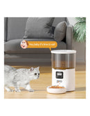 Alimentador Automático Pet Wi-Fi